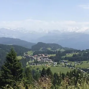  Appartement Appartement Le Praz De Lys
